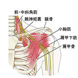 一心鍼灸院