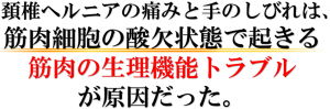 頚椎ヘルニアの原因のとは