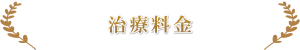 頚椎ヘルニア治療料金