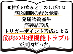 頚椎症の痛みは筋肉にあり