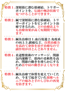 頚椎ヘルニア治療の特徴