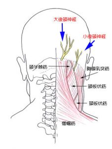 後頭神経痛