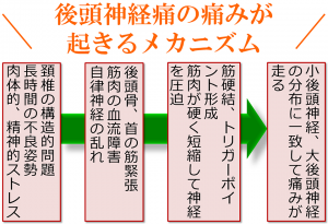 後頭神経痛メカニズム